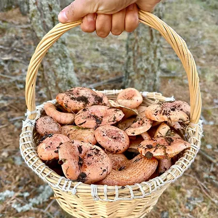 Lejlighed Casa En Minas De *