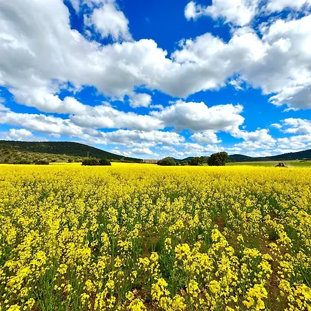Lejlighed Casa En Minas De *